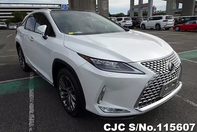 2022 Lexus RX 300 White for sale | Stock No. 115607 | Japanese Used ...