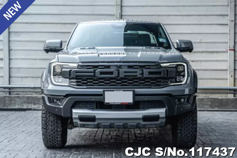 Ford Ranger in Gray for Sale Image 3