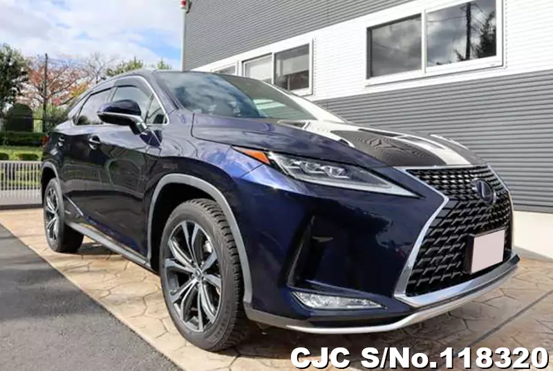 2019 Lexus / RX 450HL Stock No. 118320