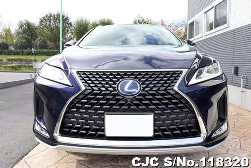 2019 Lexus / RX 450HL Stock No. 118320