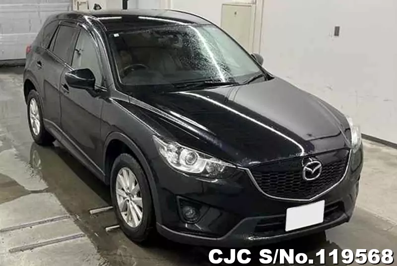 2012 Mazda / CX-5 Stock No. 119568