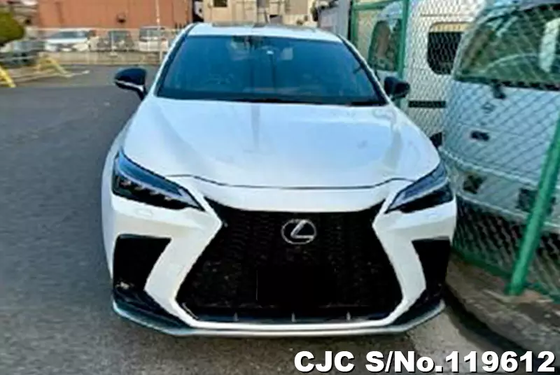 Lexus / NX 350H 2023