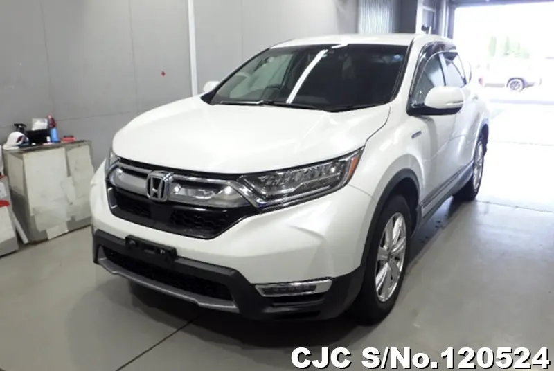 2018 Honda / CRV Stock No. 120524