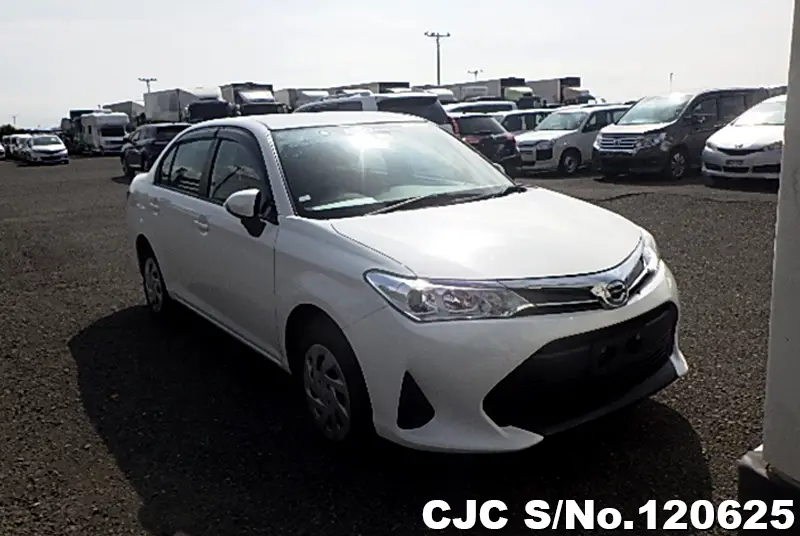 Toyota / Corolla Axio 2019