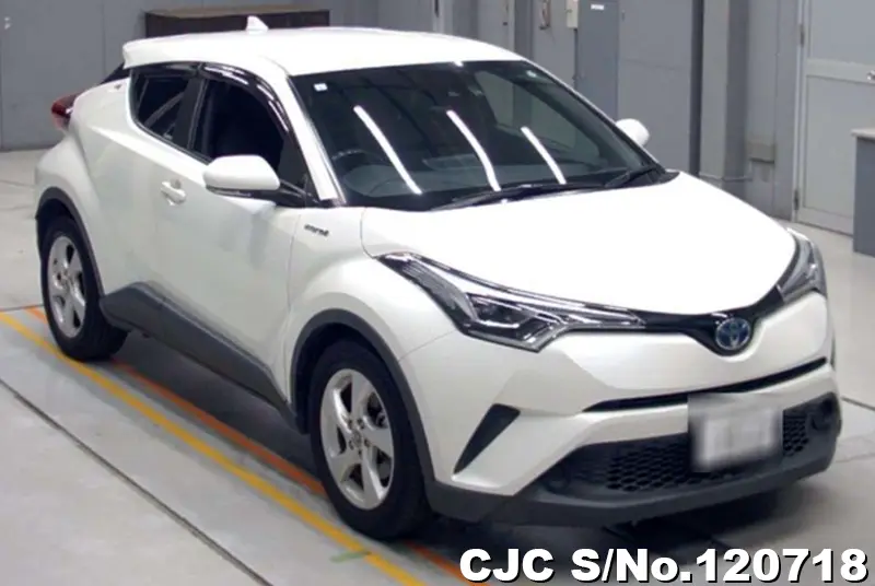 2019 Toyota / C-HR Stock No. 120718