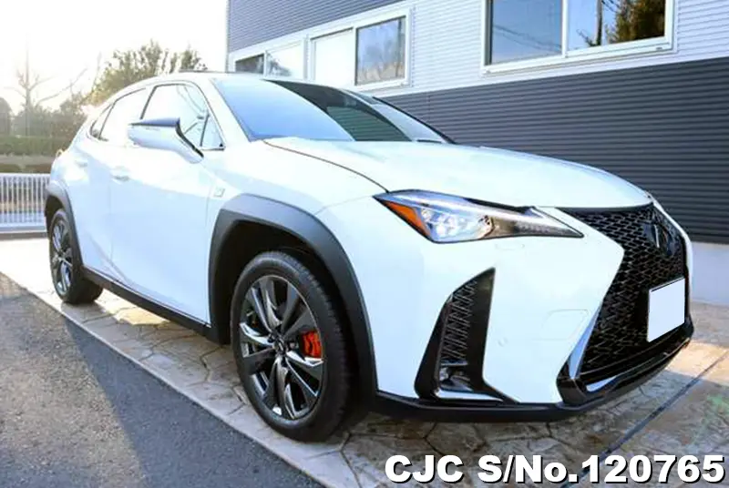 Lexus / UX 250H 2023