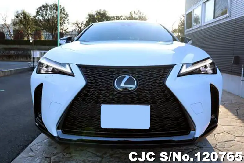 2023 Lexus / UX 250H Stock No. 120765