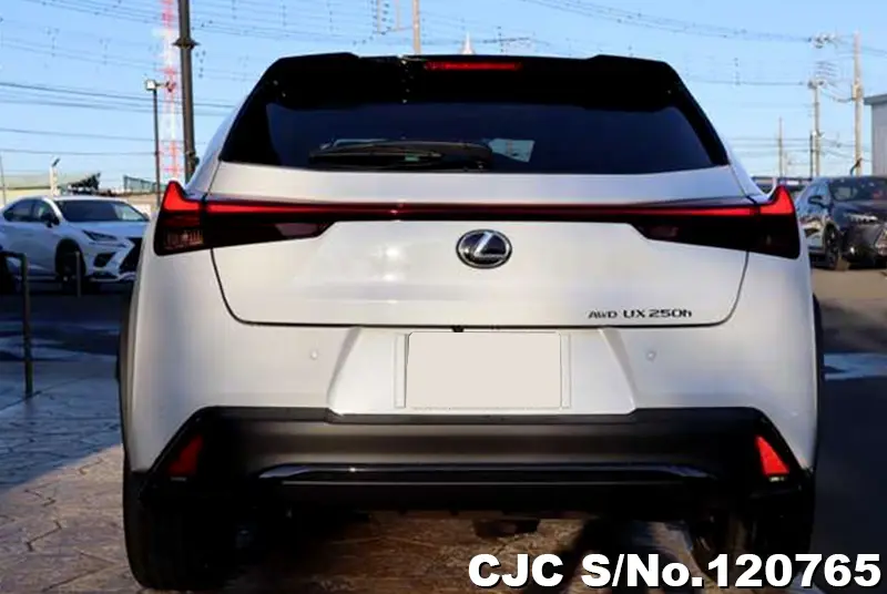 2023 Lexus / UX 250H Stock No. 120765