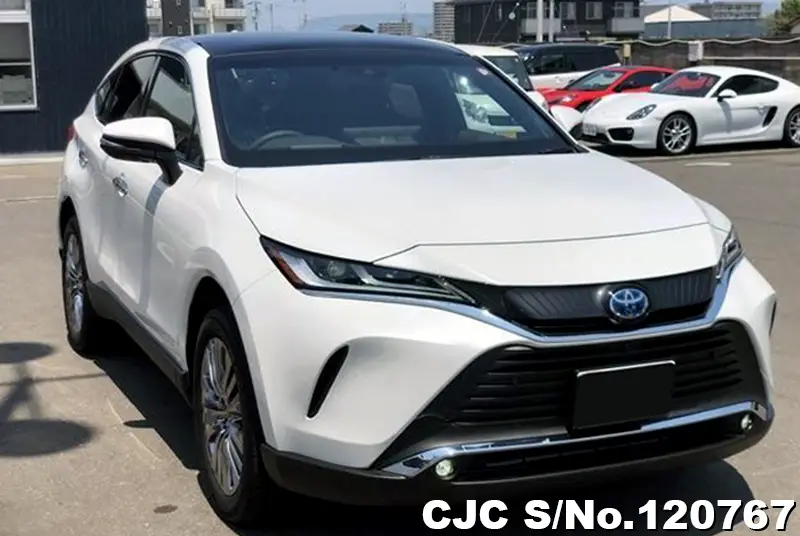 Toyota / Harrier 2023