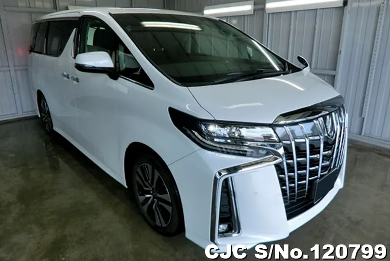 2023 Toyota / Alphard Stock No. 120799