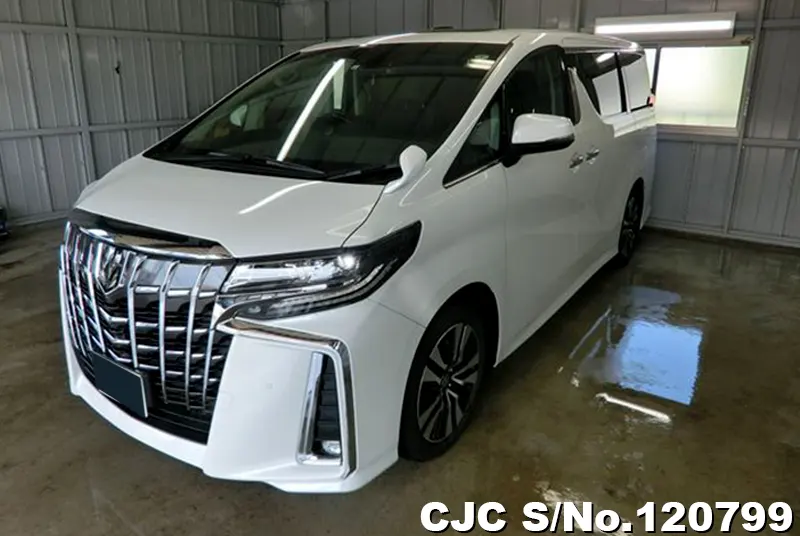 2023 Toyota / Alphard Stock No. 120799