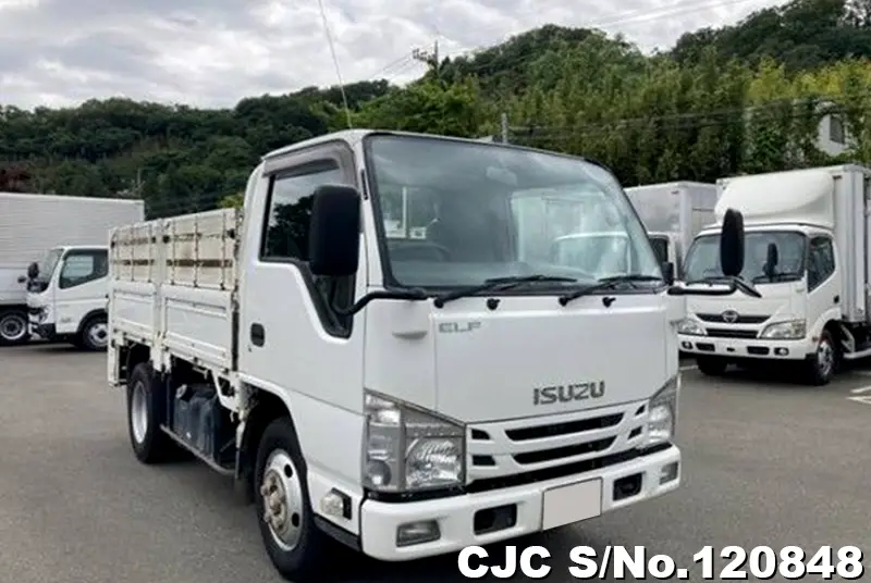 Isuzu / Elf 2016