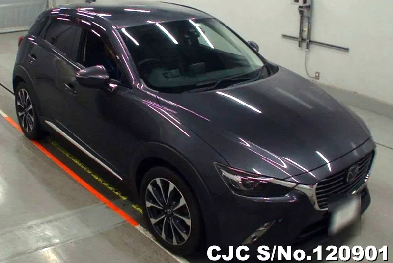 2016 Mazda / CX-3 Stock No. 120901