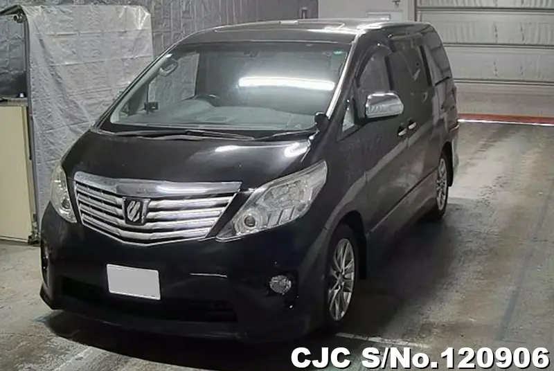 2011 Toyota / Alphard Stock No. 120906