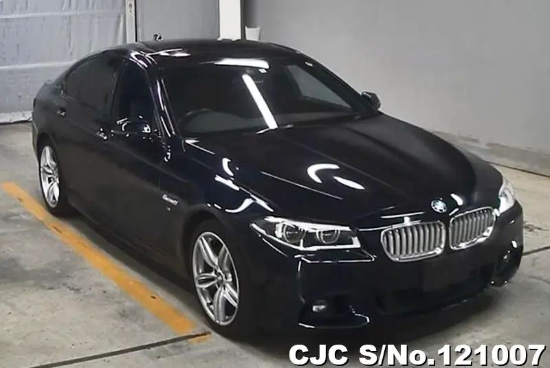 BMW / 5 Series 2013