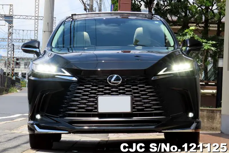 2023 Lexus / RX 450H Stock No. 121125