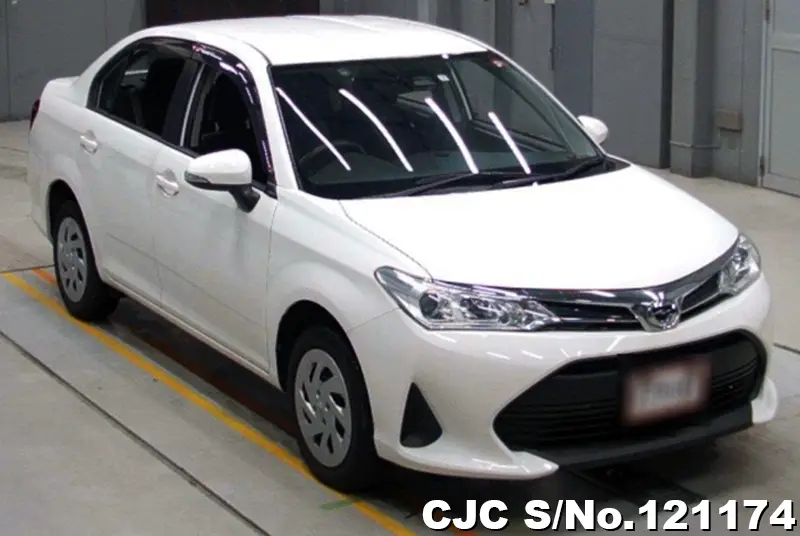 Toyota / Corolla Axio 2019