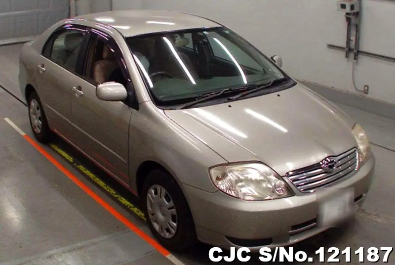 Toyota / Corolla 2003