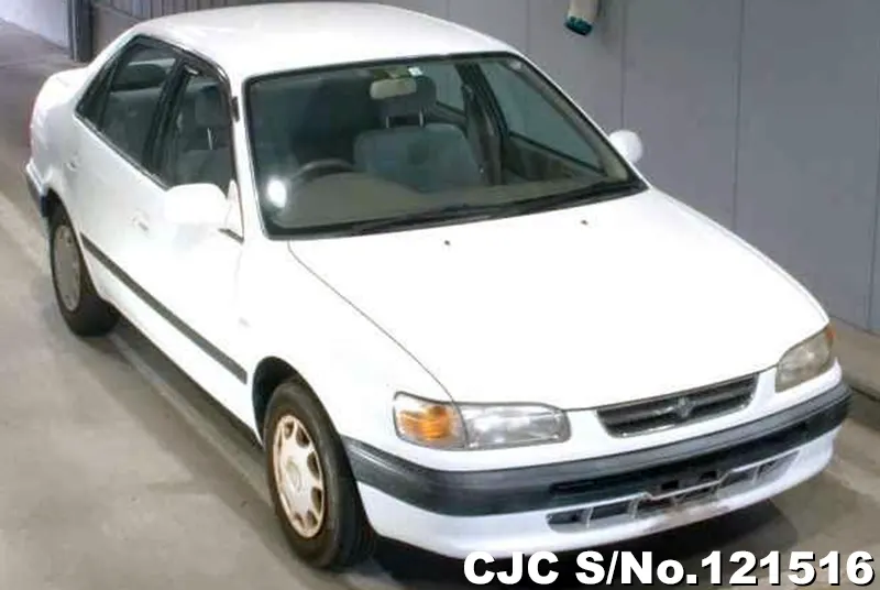 Toyota / Corolla 1996