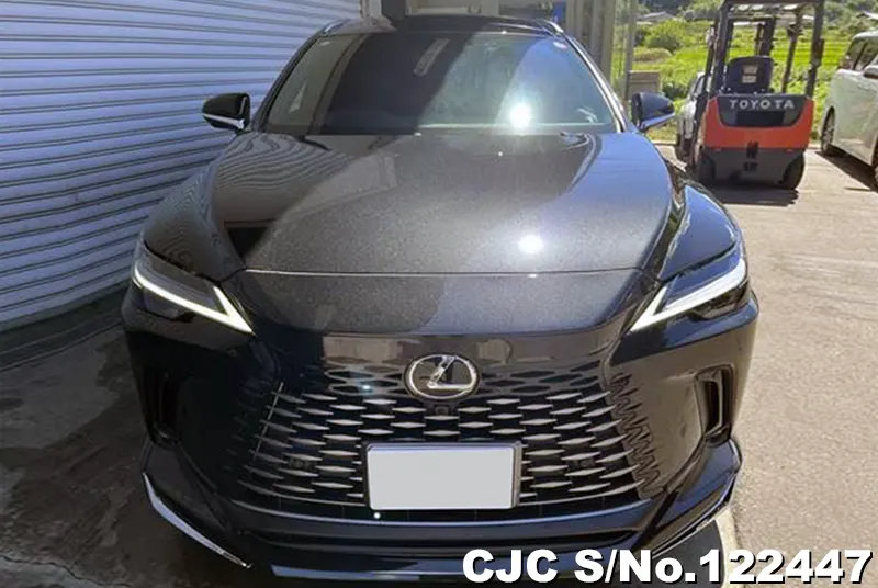 2023 Lexus / RX 350 Stock No. 122447