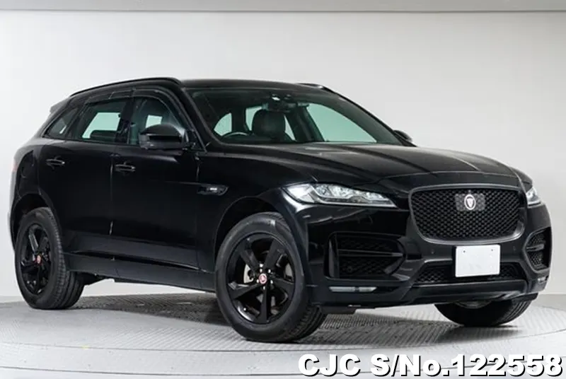 2018 Jaguar / F-Pace Stock No. 122558