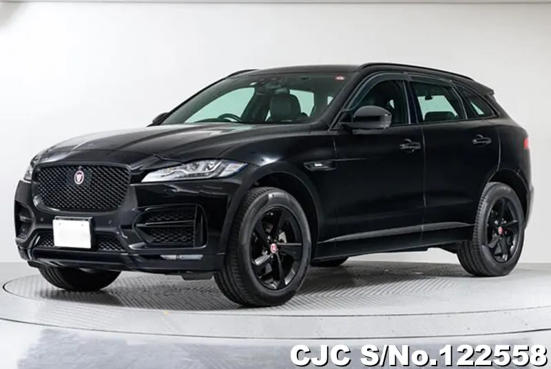 2018 Jaguar / F-Pace Stock No. 122558