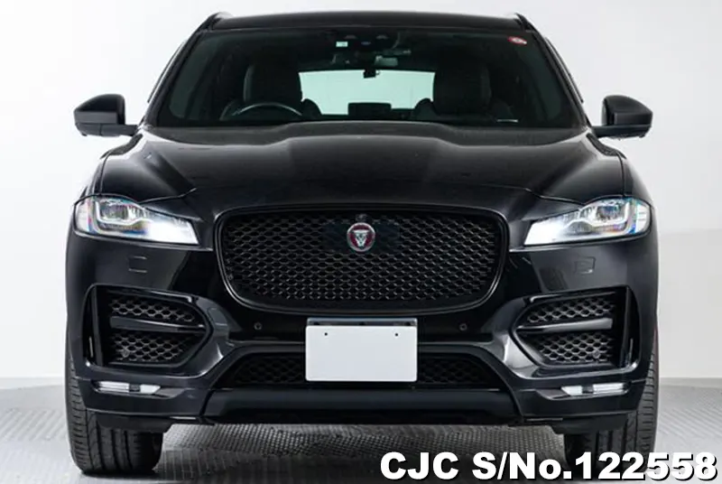 2018 Jaguar / F-Pace Stock No. 122558