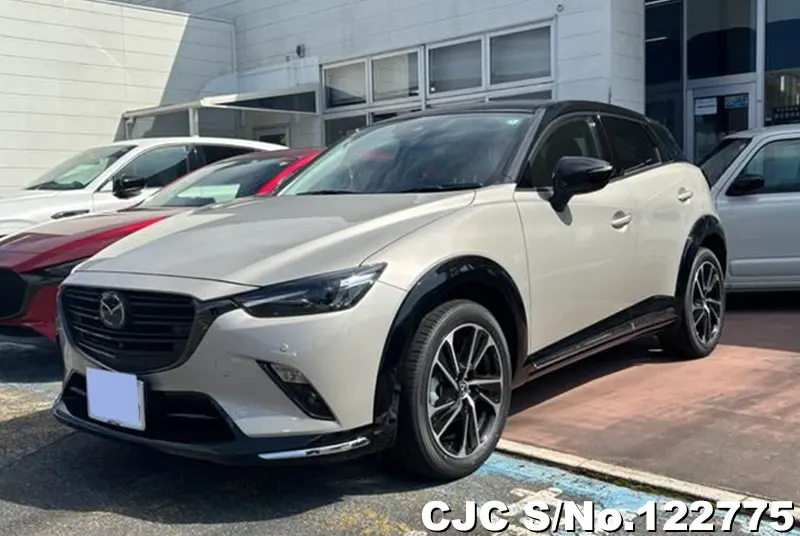 2024 Mazda / CX-3 Stock No. 122775