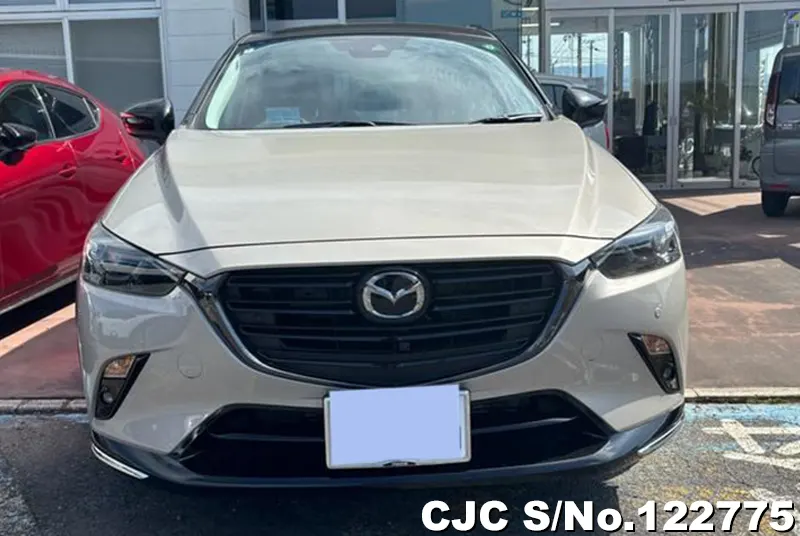 2024 Mazda / CX-3 Stock No. 122775