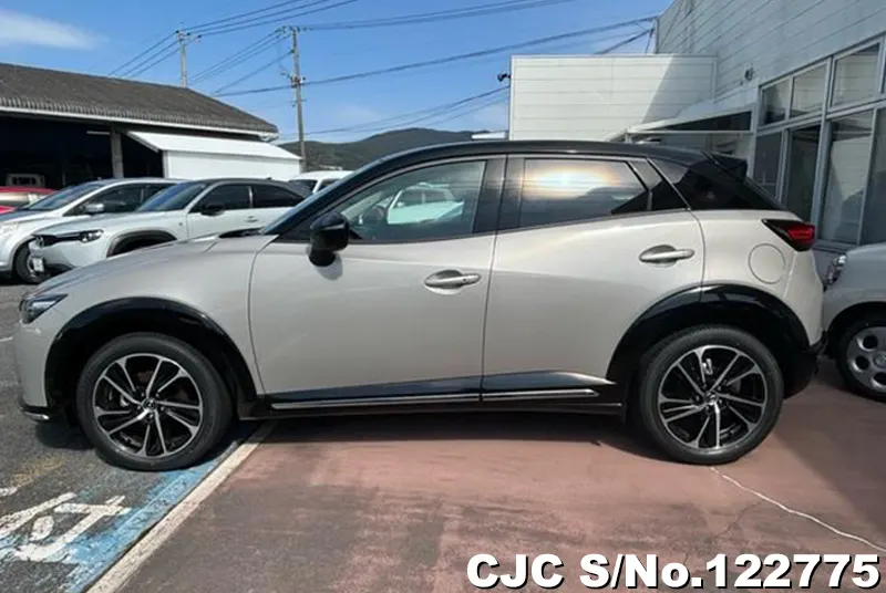 2024 Mazda / CX-3 Stock No. 122775