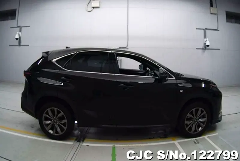 2015 Lexus / NX 200 Stock No. 122799