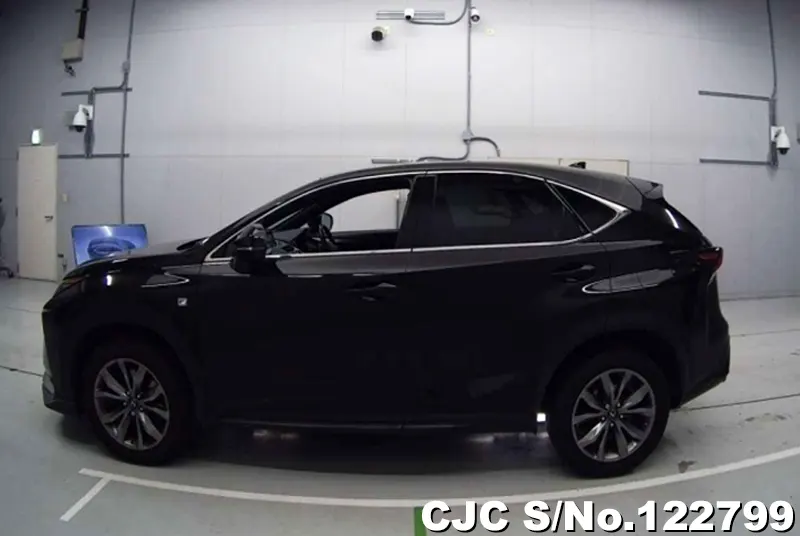 2015 Lexus / NX 200 Stock No. 122799