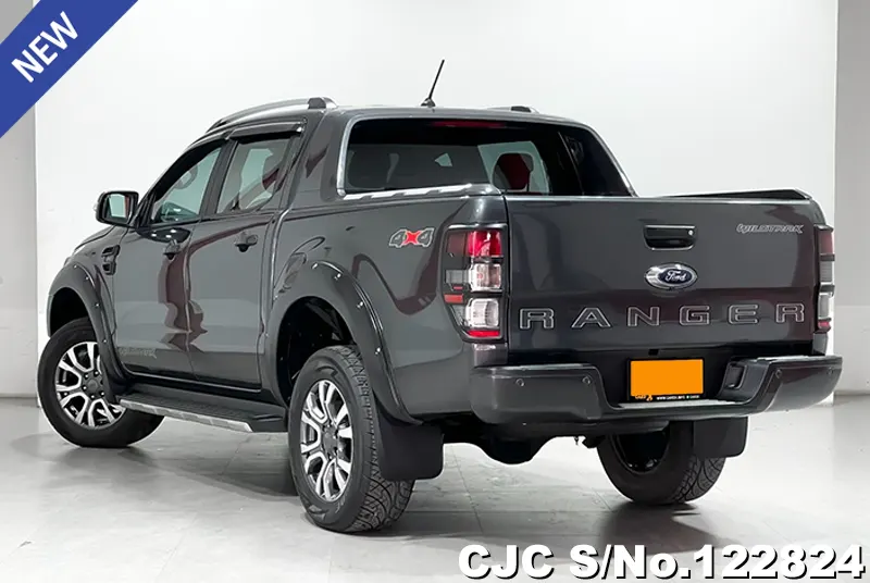 Ford Ranger in Gray for Sale Image 1