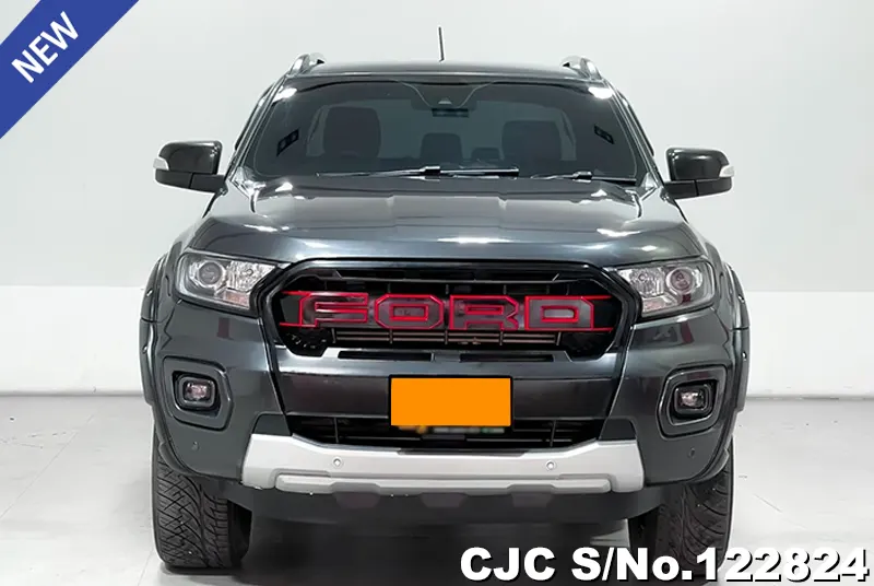 Ford Ranger in Gray for Sale Image 3