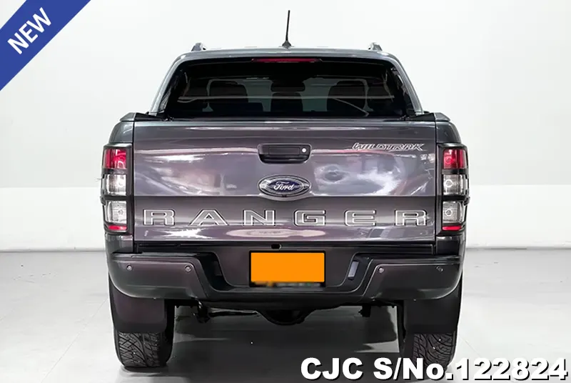 Ford Ranger in Gray for Sale Image 4