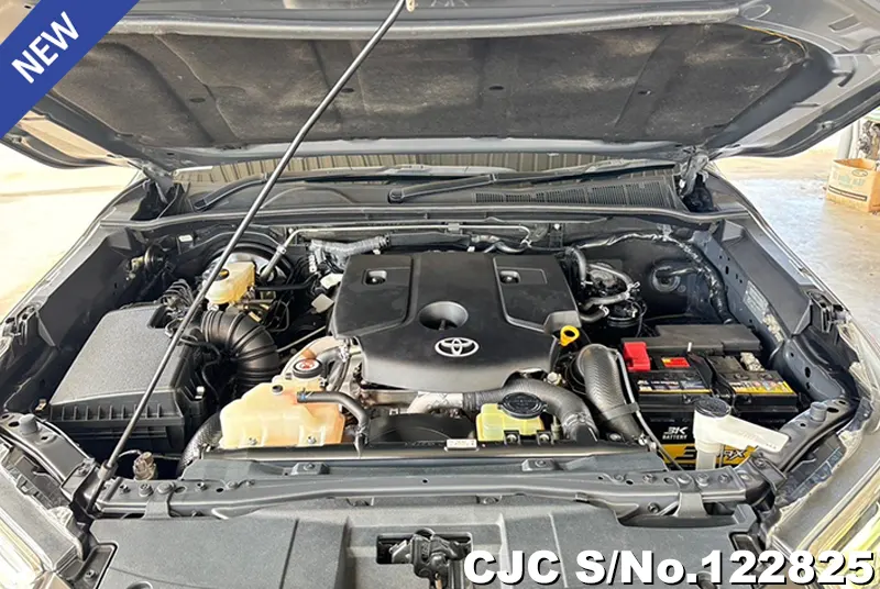 2021 Toyota / Hilux / Revo Stock No. 122825