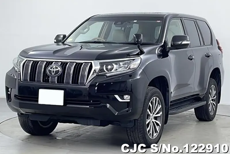 2018 Toyota / Land Cruiser Prado Stock No. 122910