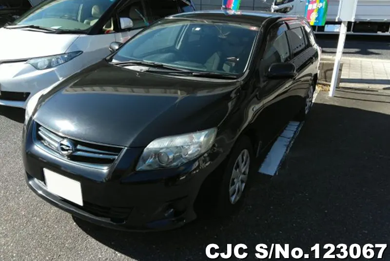 2010 Toyota / Corolla Fielder Stock No. 123067