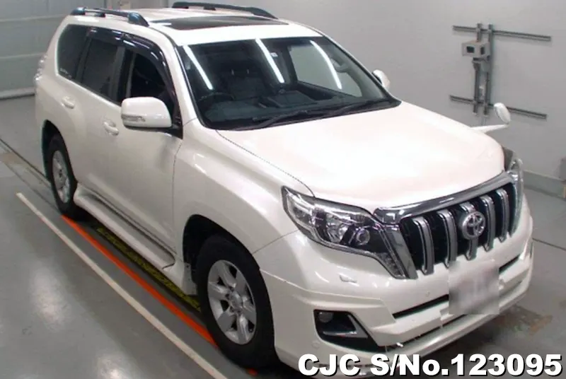 2013 Toyota / Land Cruiser Prado Stock No. 123095