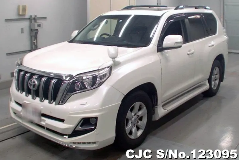 2013 Toyota / Land Cruiser Prado Stock No. 123095