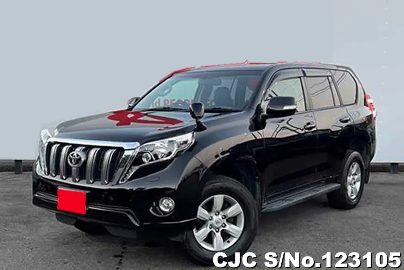 2015 Toyota / Land Cruiser Prado Stock No. 123105