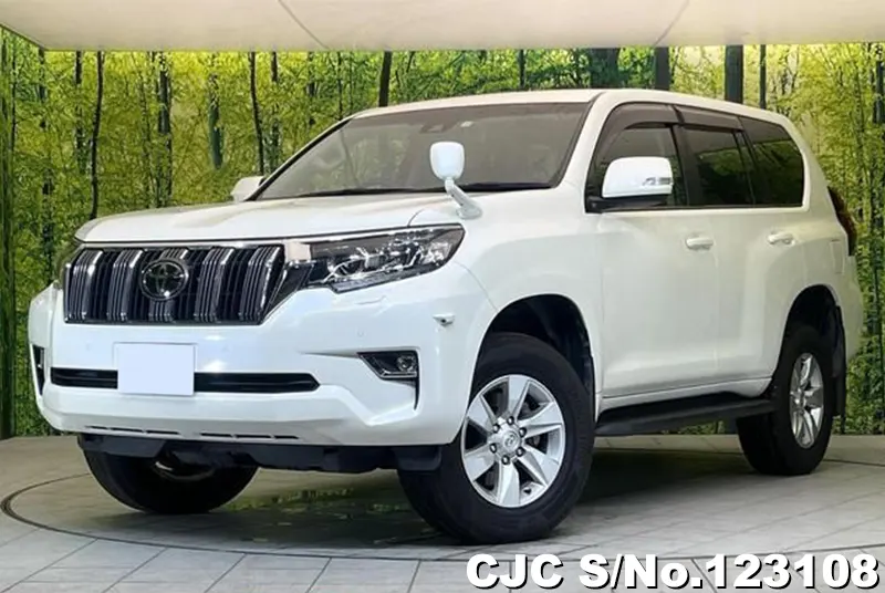 2017 Toyota / Land Cruiser Prado Stock No. 123108