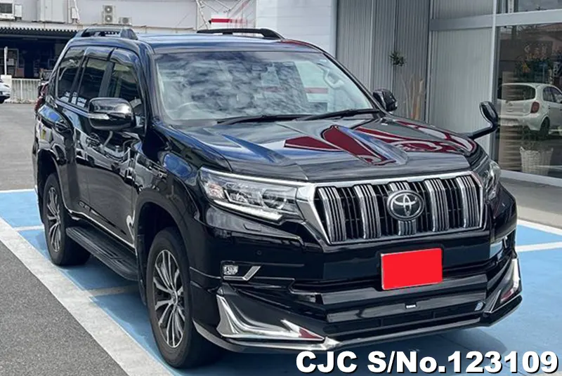 2019 Toyota / Land Cruiser Prado Stock No. 123109