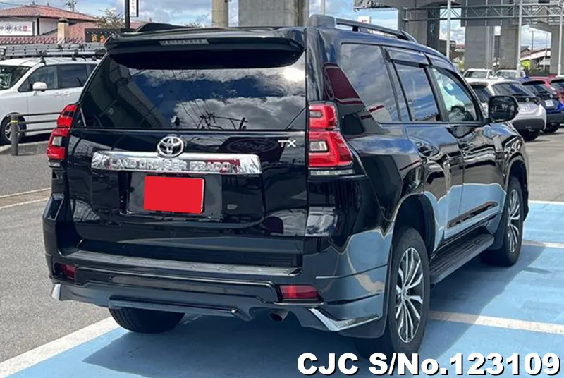 2019 Toyota / Land Cruiser Prado Stock No. 123109