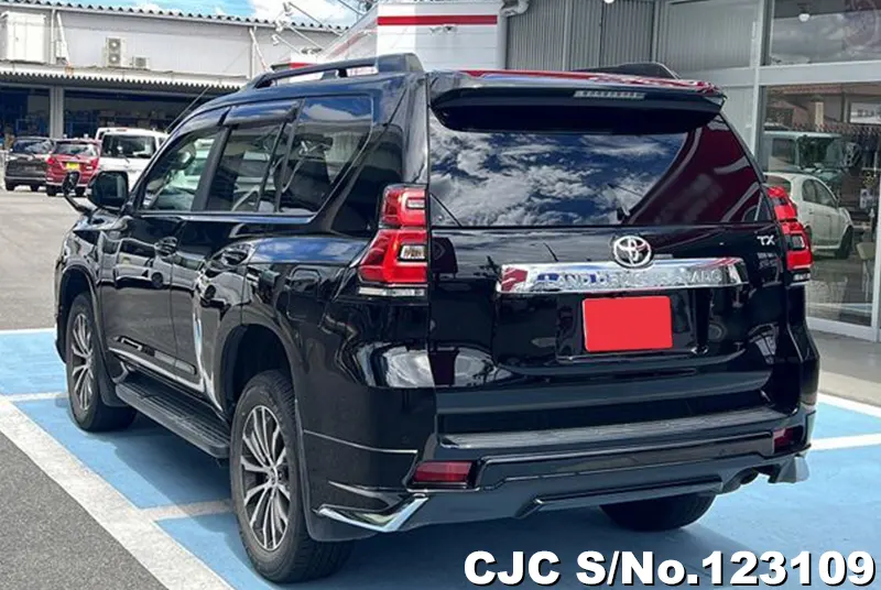 2019 Toyota / Land Cruiser Prado Stock No. 123109