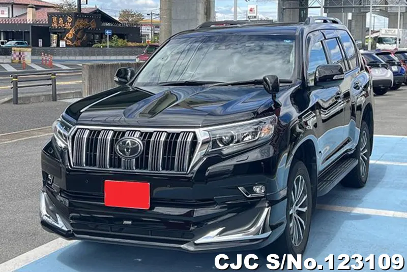 2019 Toyota / Land Cruiser Prado Stock No. 123109