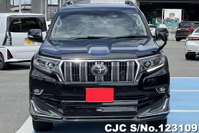 2019 Toyota / Land Cruiser Prado Stock No. 123109