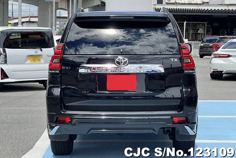 2019 Toyota / Land Cruiser Prado Stock No. 123109