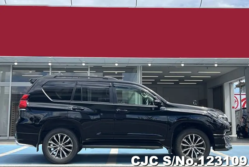 2019 Toyota / Land Cruiser Prado Stock No. 123109