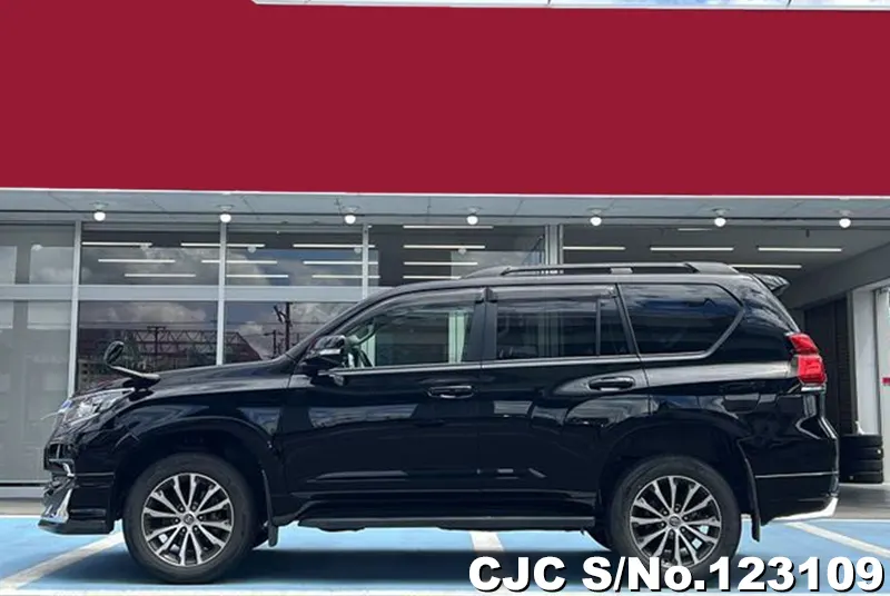 2019 Toyota / Land Cruiser Prado Stock No. 123109